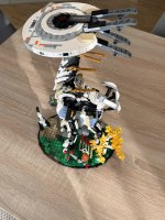 IMG_3007.jpeg