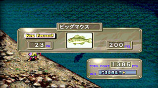 42451120050617_172110_6_big.jpg