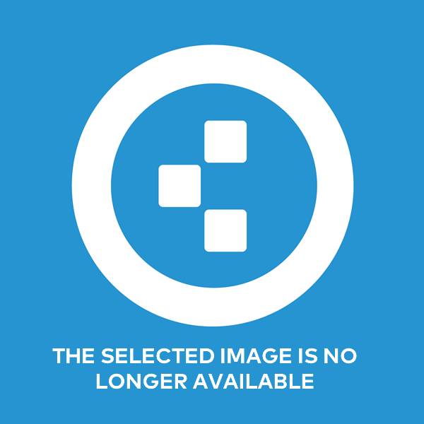 reggie_profilepec_3.jpg