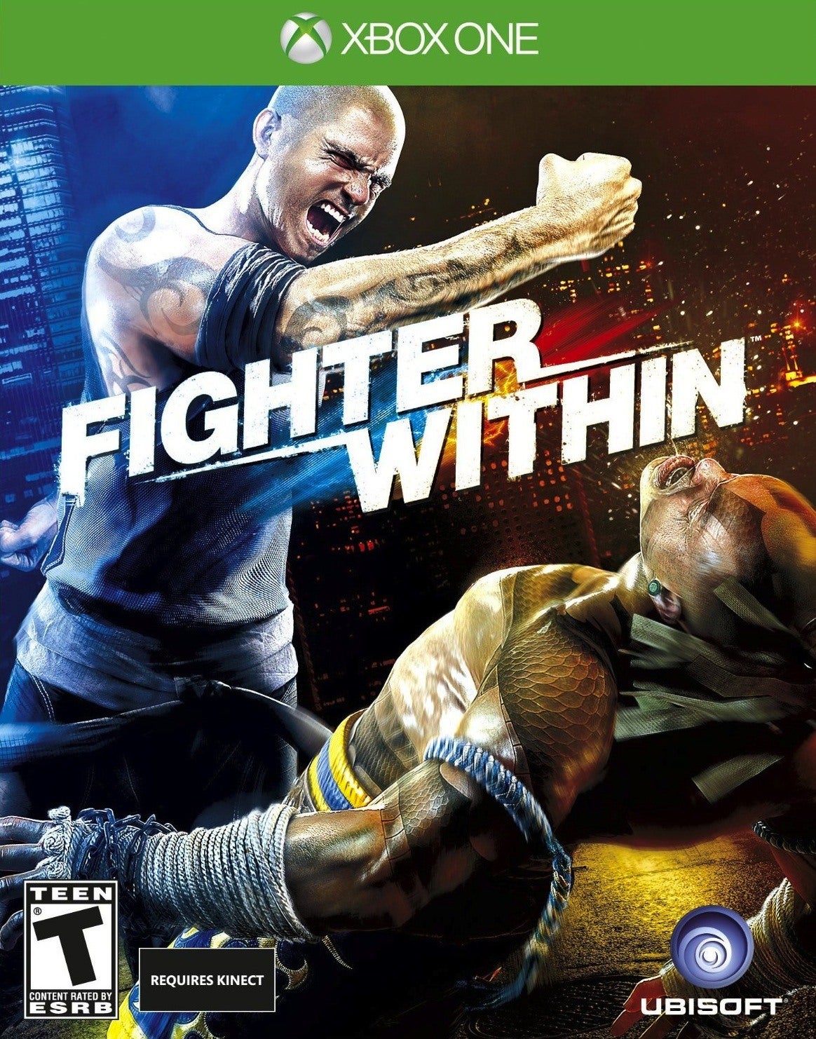 fighterwithinjpg-884748.jpg