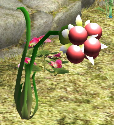 Burgeoning_Spiderwort.png