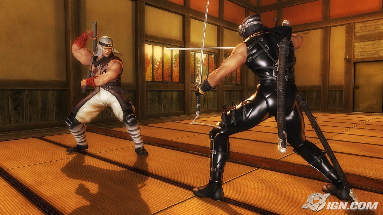 ninja-gaiden-sigma-20061219064536464.jpg