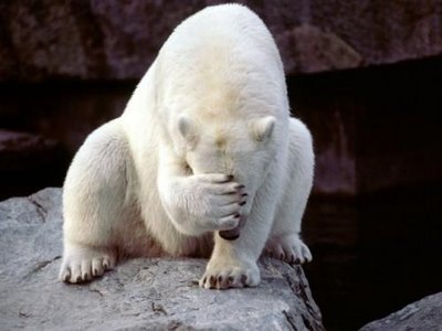 polar-bear-face-palm-thumbnail.jpg