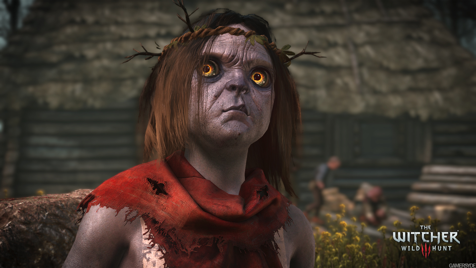 image_the_witcher_3_wild_hunt-25981-2651_0003.jpg