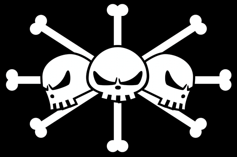 800px-Blackbeardflagge2.png