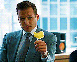tumblr_m606av9Z6a1qk13l8o3_250.gif