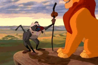 tumblr_lg06rcgiCH1qa13qio1_250.gif