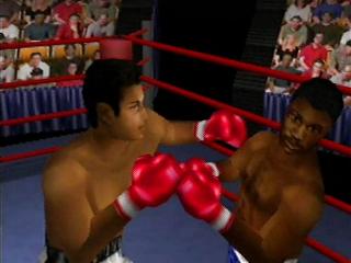 knockout_kings_2000.jpg