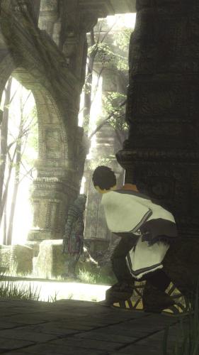 trico04.jpg