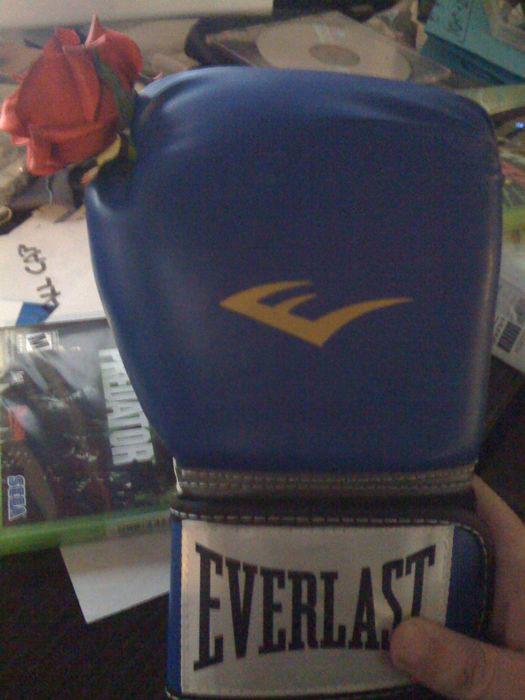 12_boxglove.jpg