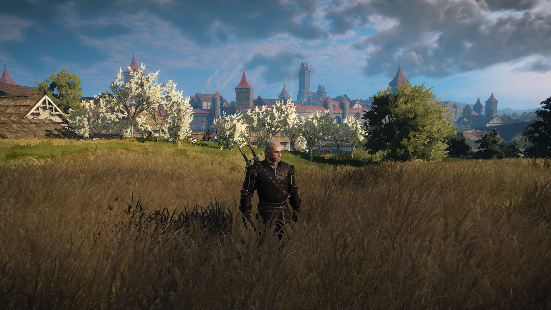 novigrad_17-png.16250