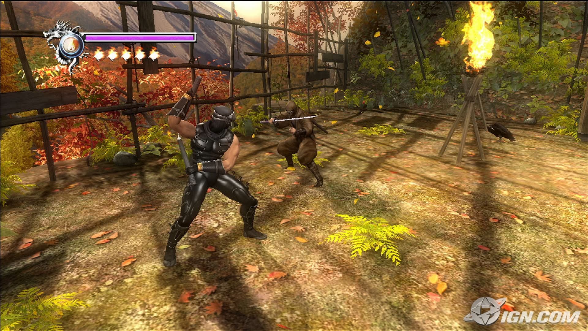 ninja-gaiden-sigma-20070322045751416.jpg