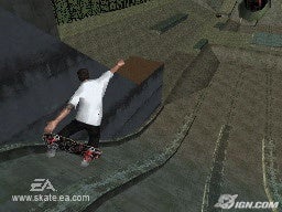 skate-it-20080509034746624.jpg