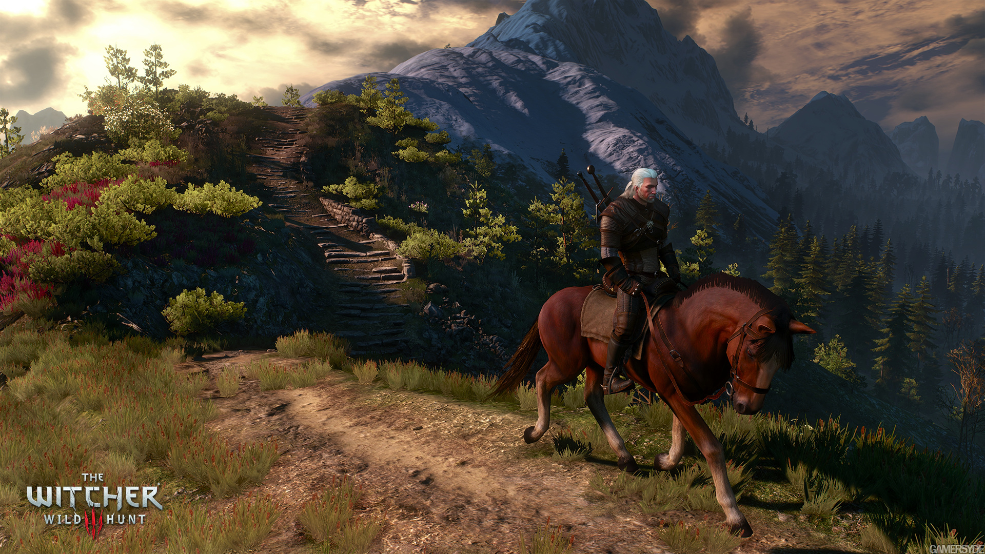 image_the_witcher_3_wild_hunt-28122-2651_0001.jpg