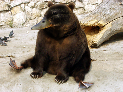 duckbear_by_katsumaru-d2yoxiv.png