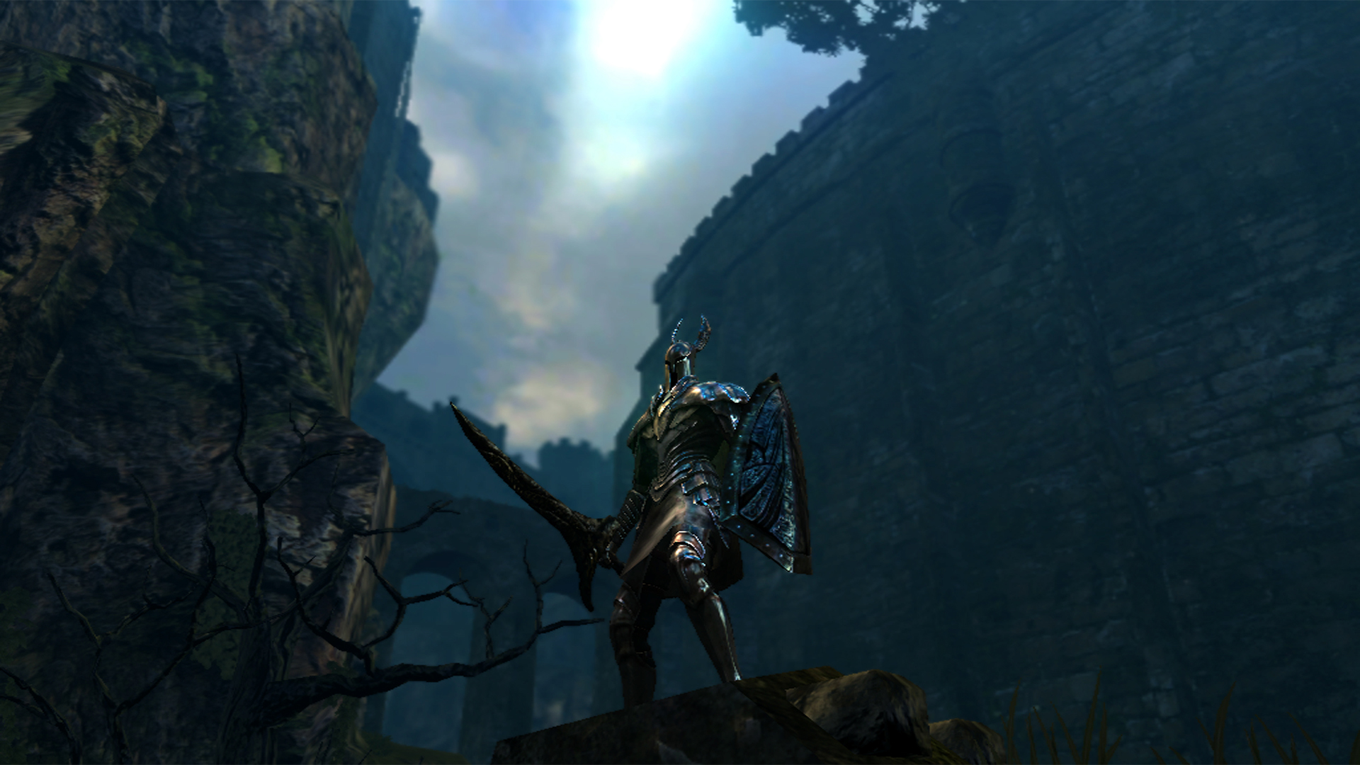 dark_souls_non_native_by_aloo81-d6zjfgb.jpg