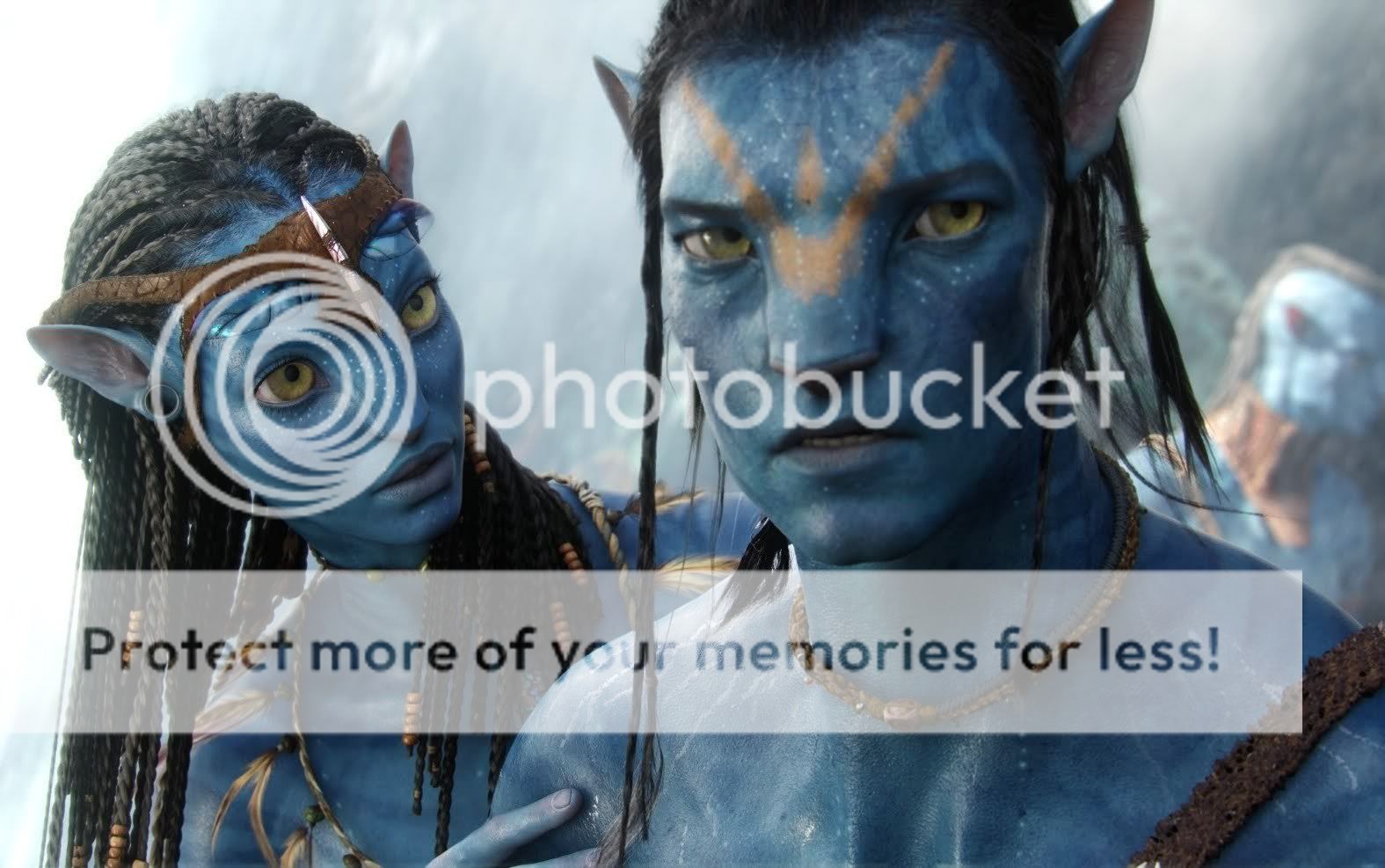 avatar-1.jpg