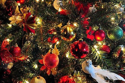 weihnachtsbaum.jpg