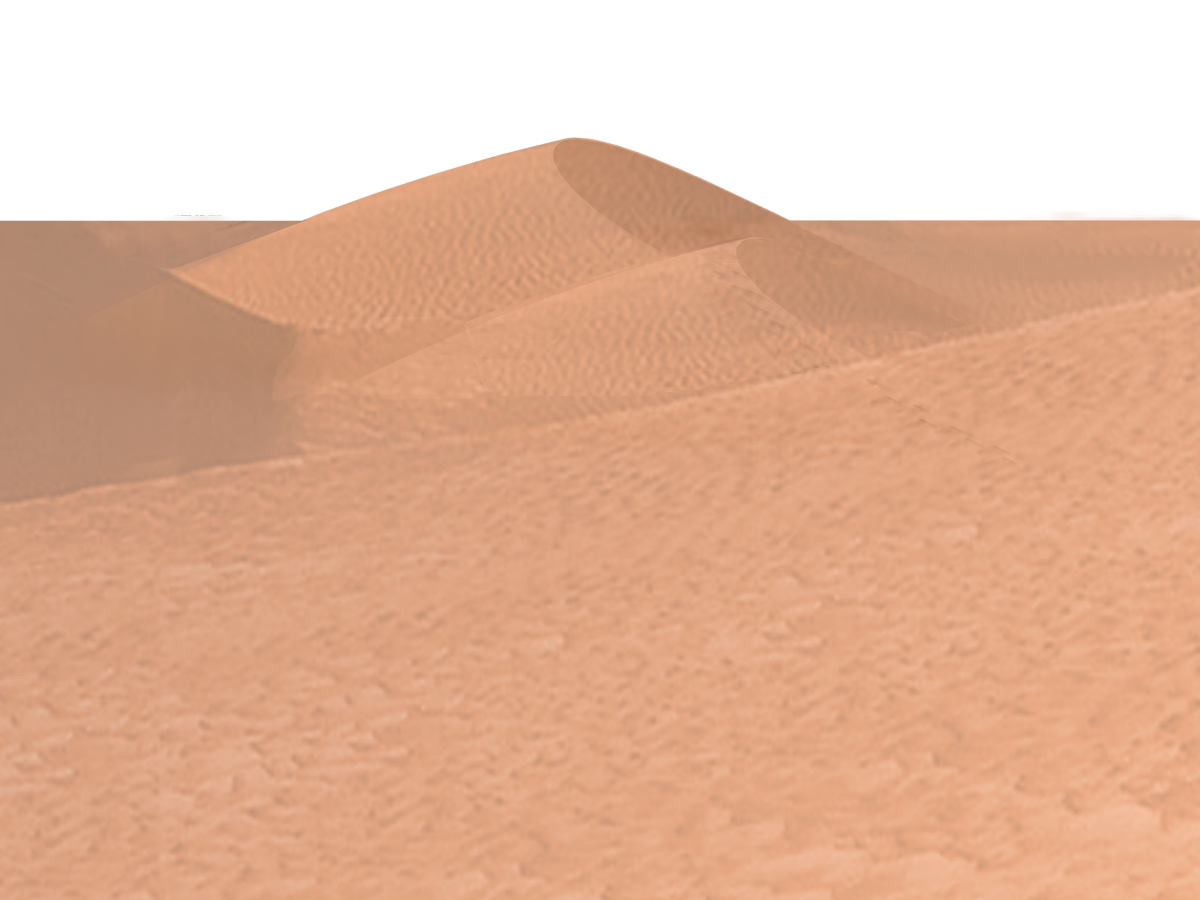 Fertige_Wüste.png