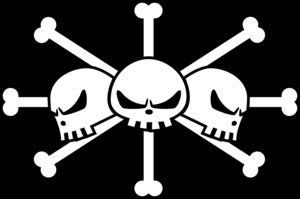 BlackBeard__s_Flag_by_zerocustom198.jpg