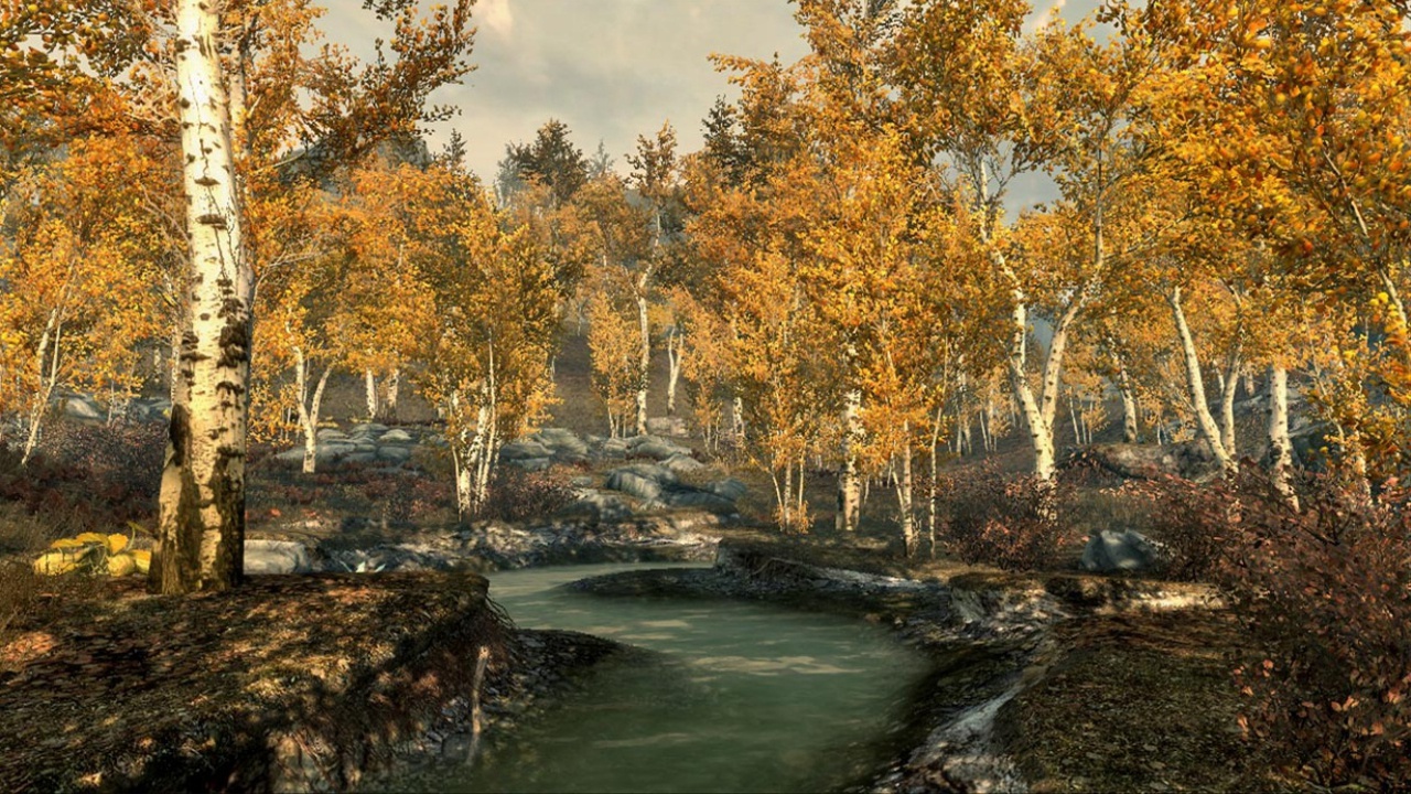 skyrim-fall-forest.jpg