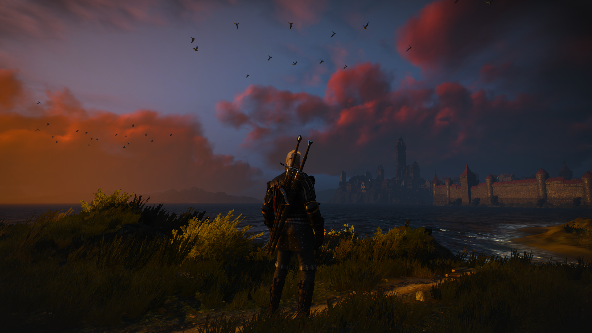 novigrad_10-png.16245