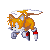 sonic0011.gif