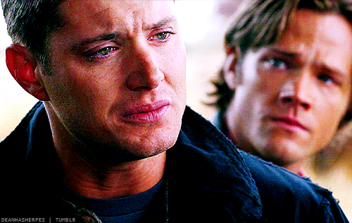 tumblr_movvcdvyXi1s9nu98o4_r1_500.gif