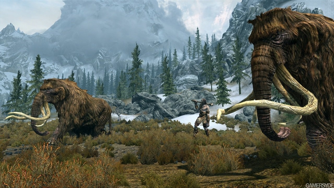 image_the_elder_scrolls_v_skyrim-15863-2190_0002.jpg