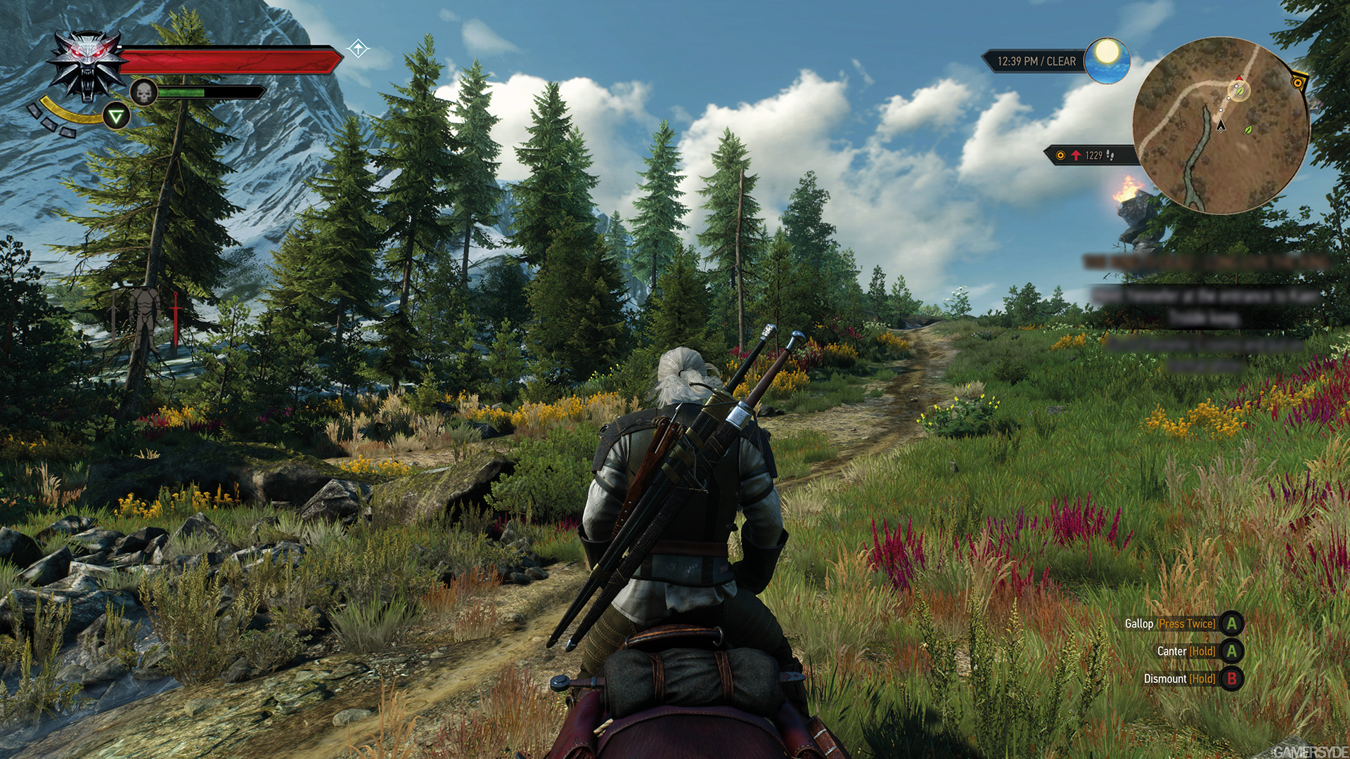 image_the_witcher_3_wild_hunt-28293-2651_0011.jpg