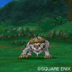dqx29.jpg