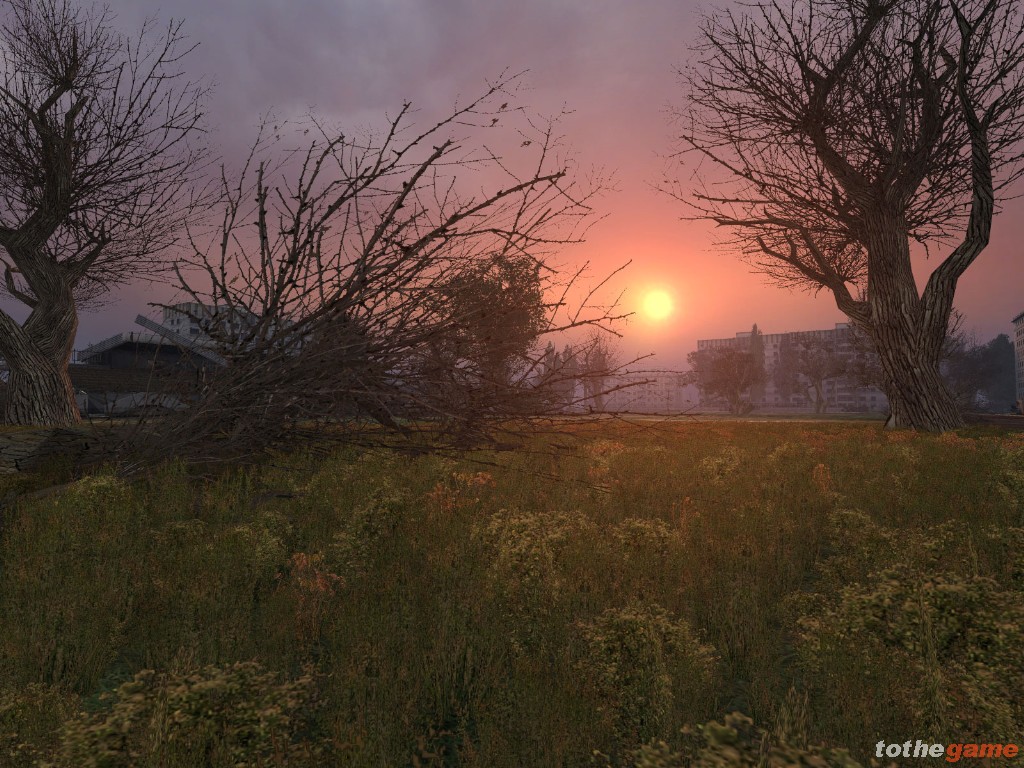 screen6_large.jpg