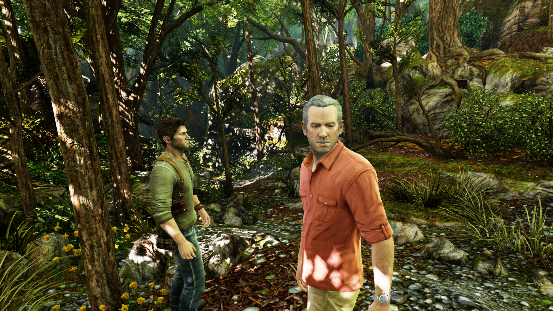 uncharted_thenathandr6kpdi.png