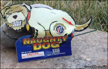 tumblr_n6iqkqNsOF1s02vreo1_400.gif