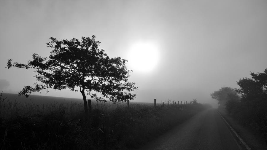 tree_and_fog_BW_by_fuzzy_photographer.jpg