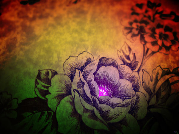 glowing_flower_by_DonaldPipowitch.jpg