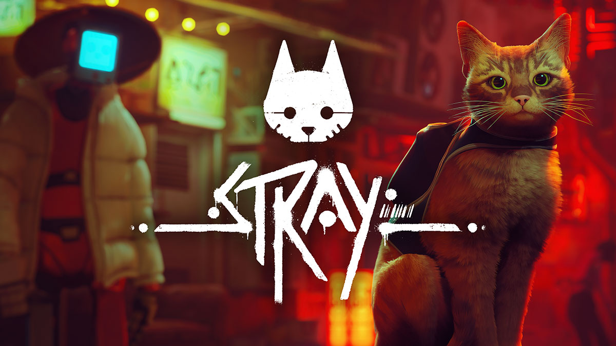 stray.iam8bit.com