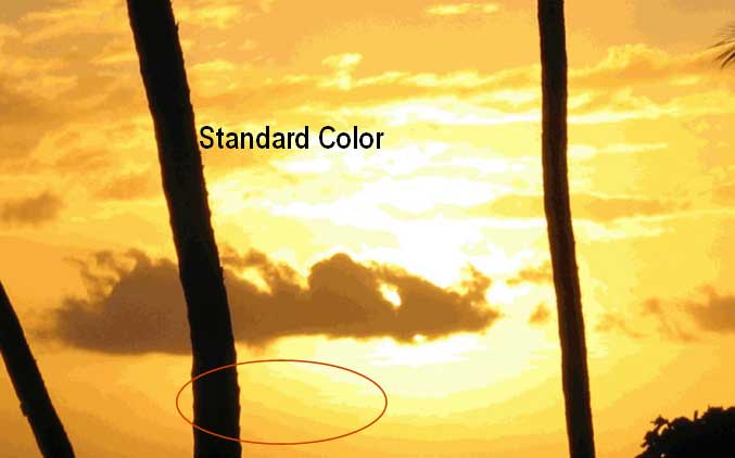 standardcolor.jpg