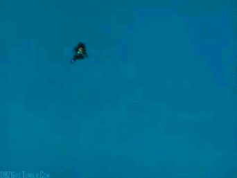 tumblr_lg0dm62NsO1qgfevpo1_400.gif
