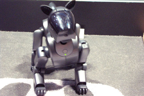 aibo.jpg