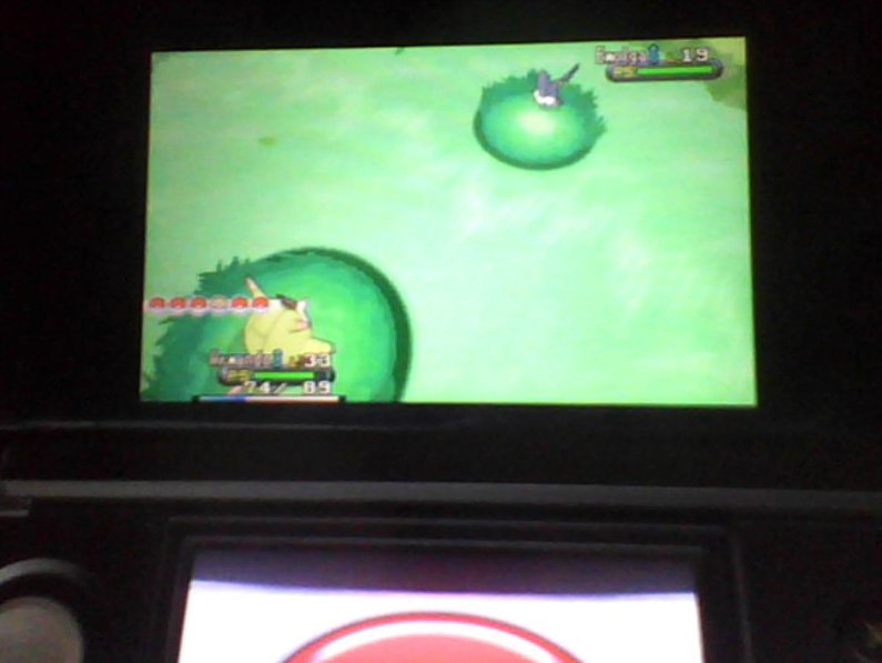 quilladin-vs-emolga.jpg