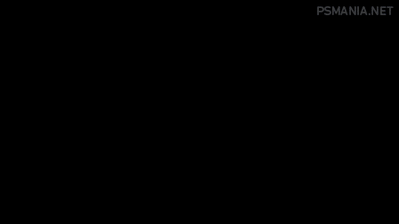 animation1.gif