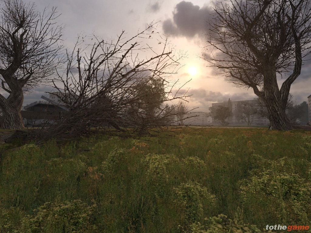 screen7_large.jpg