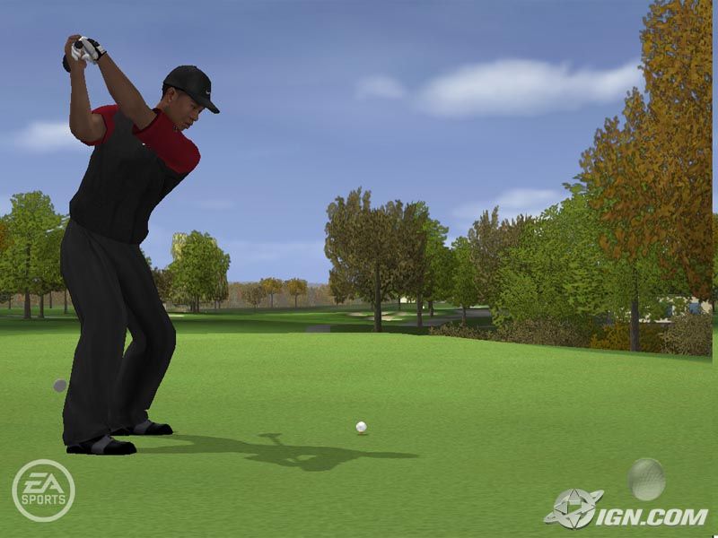 tiger-woods-pga-tour-06-20050630020634160.jpg