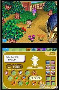 animal-crossing-ds-20041101033926055.jpg