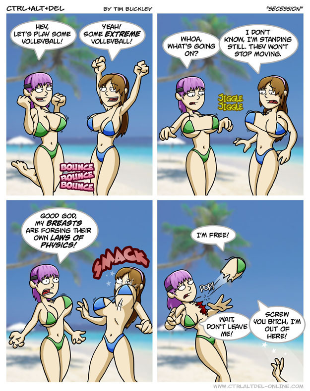 Funny-comic-dead-or-alive-xtreme-2-20653670-625-790.jpg