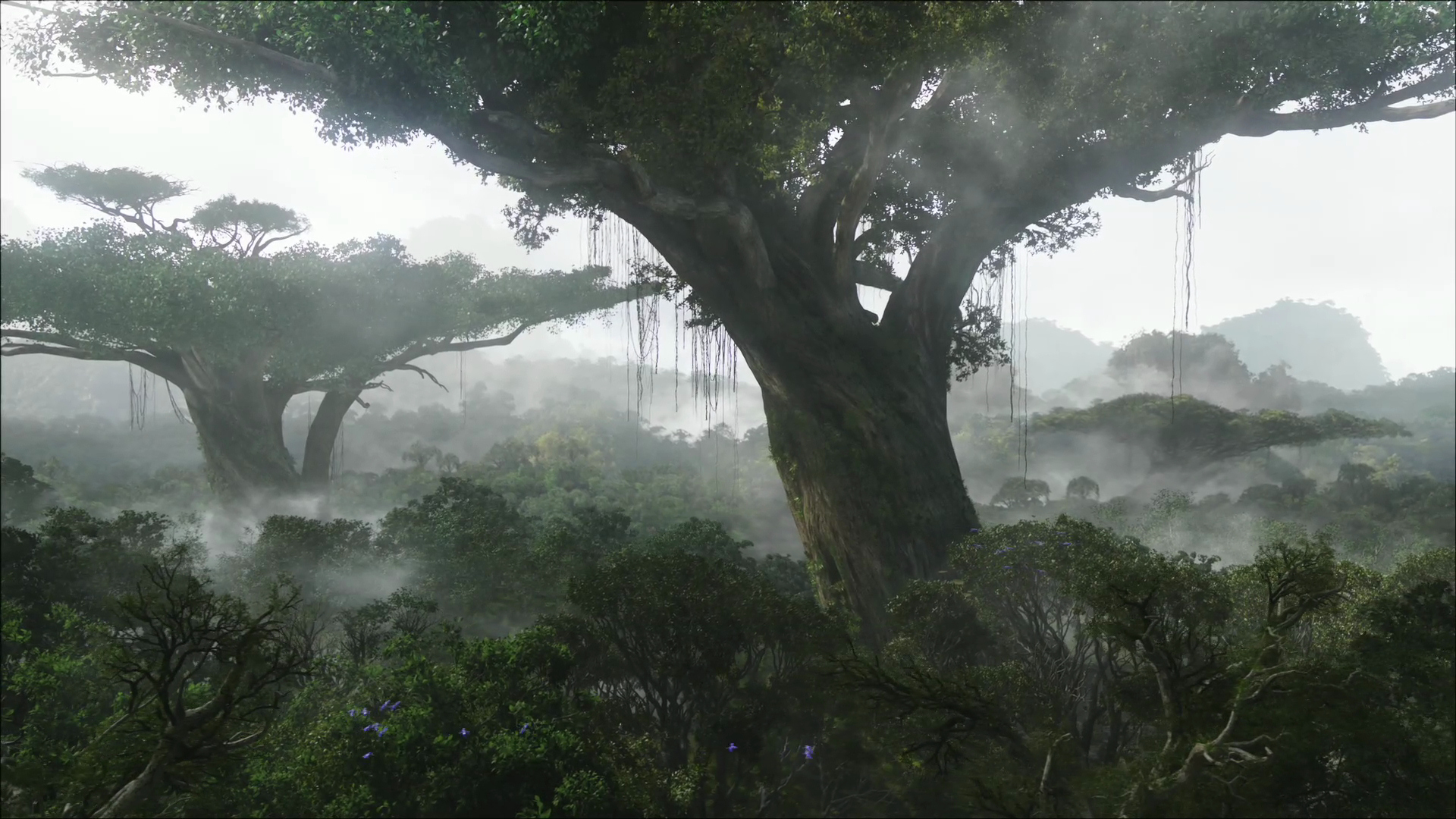 hometree.jpg