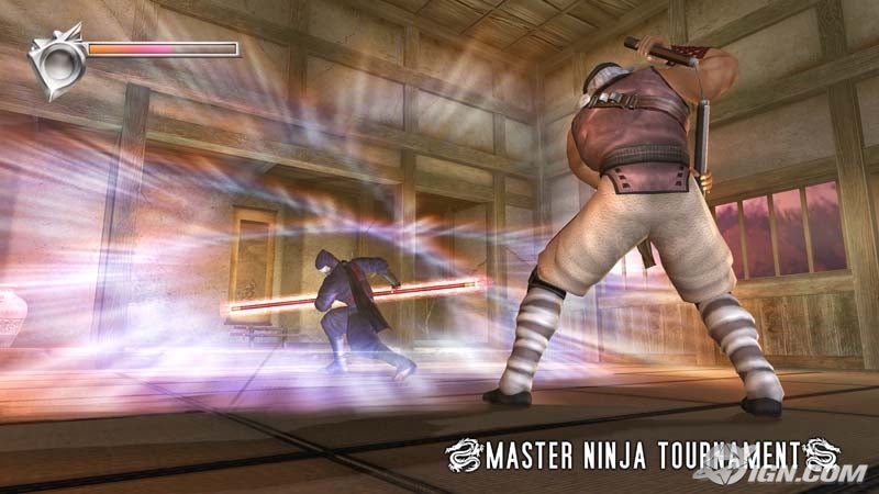 ninja-gaiden-20040623054050885.jpg