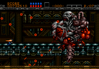 gy17.gif