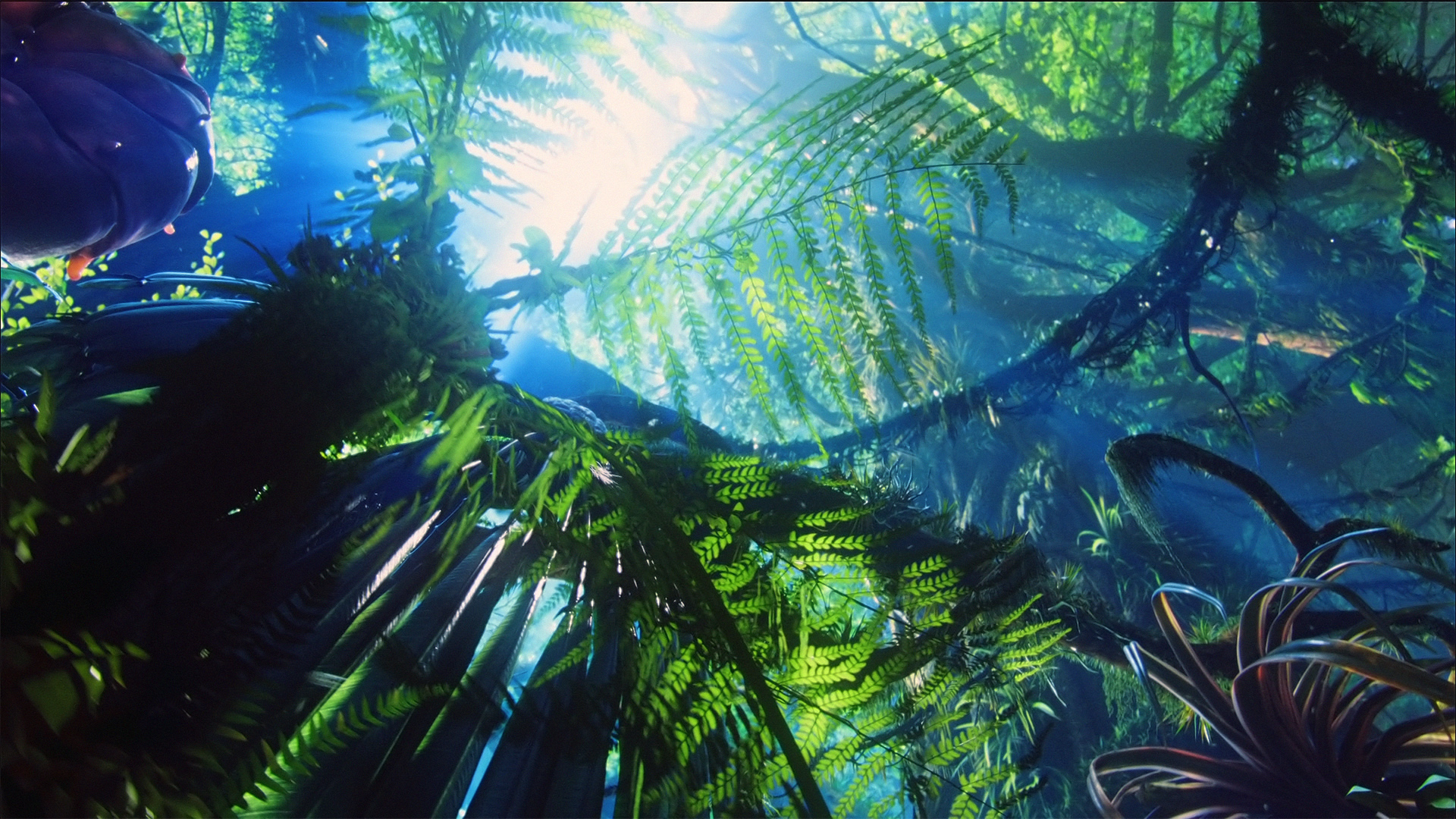 Avatar_HD_Wallpaper_7_by_ihateyouare.jpg